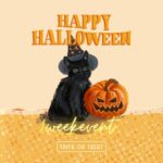 ハッピーハロウィン