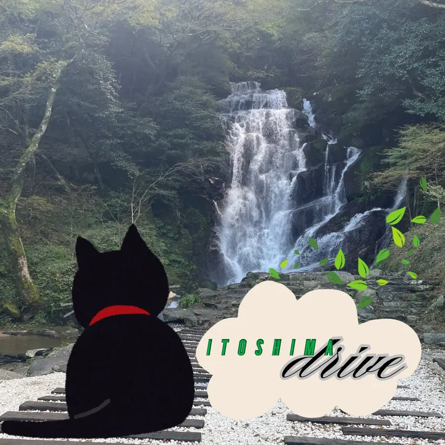 滝
