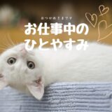 くつろぐ猫