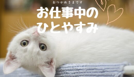 お仕事中の一休み♪