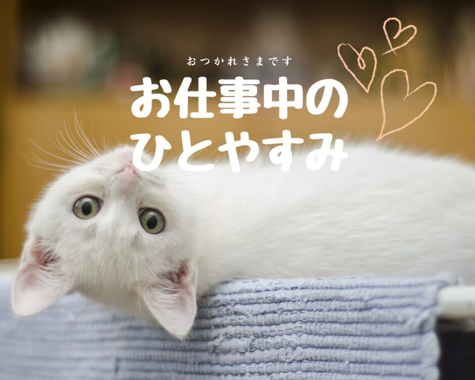 くつろぐ猫