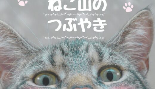 人生ににゃやむあなたへねこやまのつぶやき