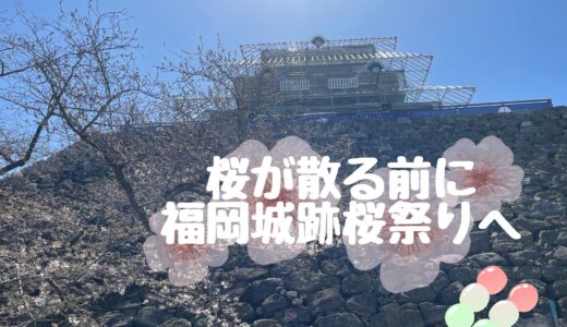 【桜が散る前に福岡城跡桜祭りへ】