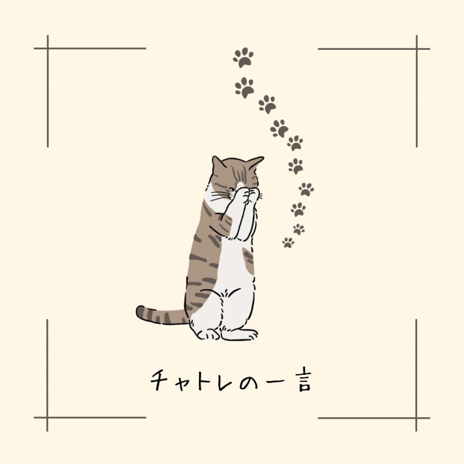 眠たいねこ