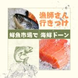 様々な魚