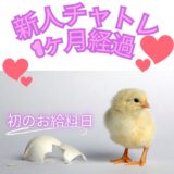 生まれたてのひよこ