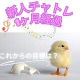 生まれたてのひよこ