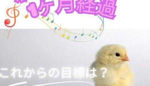 【新人チャトレ１ヶ月経過〜これからの目標は🐣？〜】