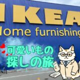 IKEAにいる猫