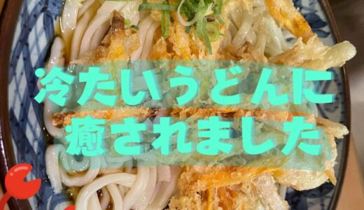 【冷たいうどんに癒されました🦀】