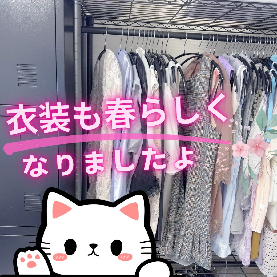 衣装部屋と猫