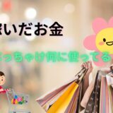 稼いだお金の使い道を聞いてみました！💸
