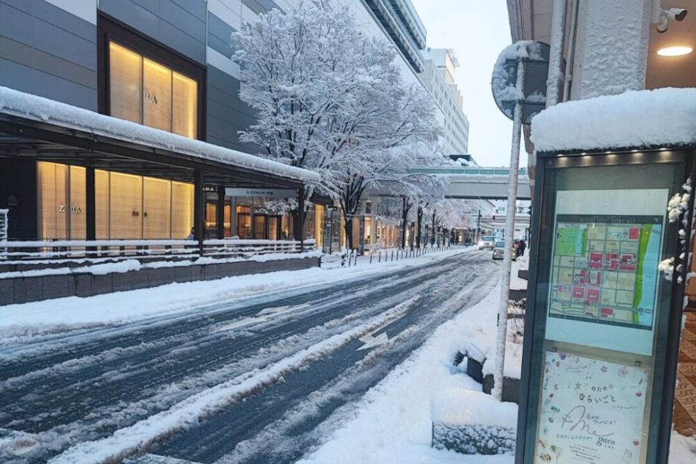 新潟駅前の積雪