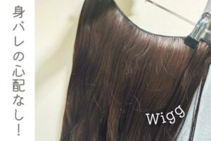 ウィッグ