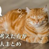 猫とタイトル