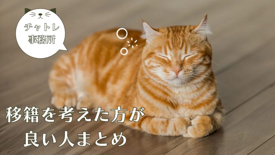 猫とタイトル