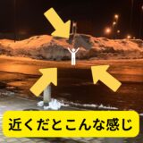 青森の雪、すごすぎ！☃️✨