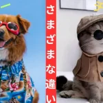 6fab5e99213cf071e0df2f24b9c51625-940x529