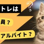 907bc06a1b0c292670c233b70e58a988