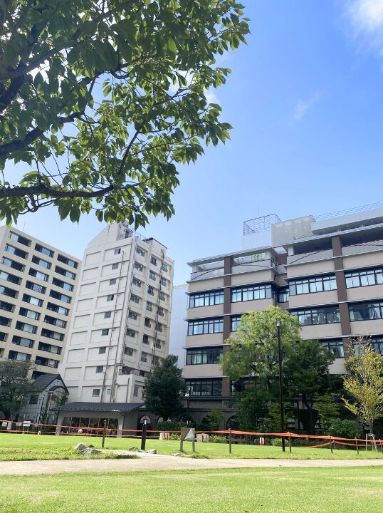 公園