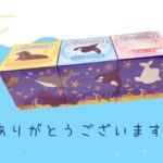 海のたより🐟️ シーワールドのお土産