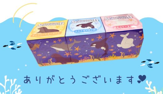海のたより🐟️