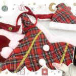 サンタのコスプレ