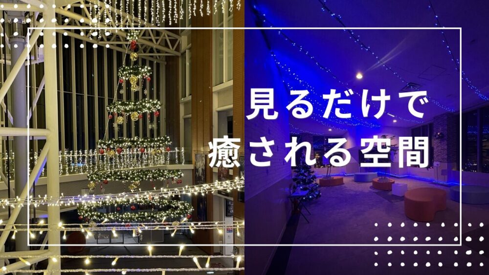 見るだけで癒やされる空間