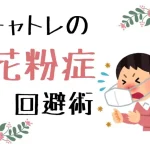 チャトレの花粉症回避術